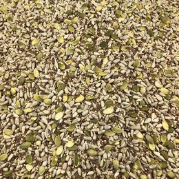 Bulk Biologische Zaden Salade Mix