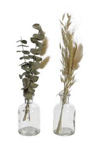 Droogbloemen in vaas S/2