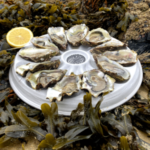 Oyster -plaat | Serving Lade | Keramiek | Handmade | 12 Oesters