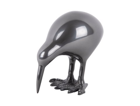 Standbeeld Kiwivogel