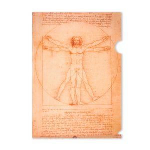 File Sheet A4, Da Vinci, Vitruvian Man