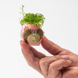 1 OriBon+ - Collezione di animali della foresta pluviale