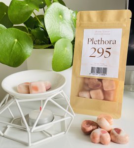 Wax melts Plethora 295 | Sinaasappel, Kaneel & Kruidnagel