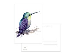 Colorful postcard featuring a detailed illustration of a vibrant hummingbird in shades of green, blue, and purple. The hummingbird is perched on a branch against a white background.