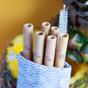 Beutel mit 6 wiederverwendbaren Bambusstrohhalmen + Flaschenbürste