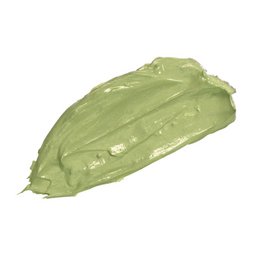 Teami Green Tea Detox Mask (185ml)