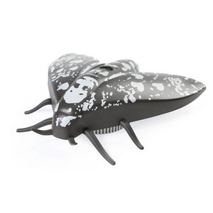 Rookmelder - Lento 10 - Zwart