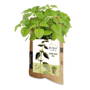 Let it Grow Hangtuintje - Citroen Melisse