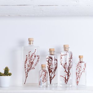 Het Herbarium - ondergedompelde plant Lepidium rood