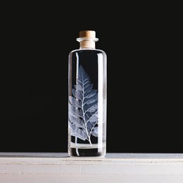 Das Herbarium – Unterwasserpflanze White Leather Farn