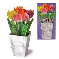 3D flower card Tulips