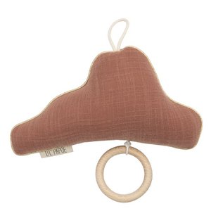 Musikwolke Tetra Roest