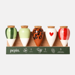 Olla Discovery Pack (oferowany wyświetlacz)