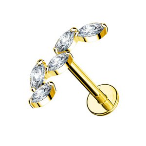 5 Leaves Zirconia Labret Helix Piercing
