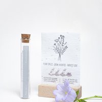 100 Glücksmomente – Kopf hoch… %23Feldblumen (Samen in Wachstumspapier)