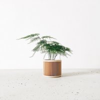 JAPAN Indoor Wood Planter