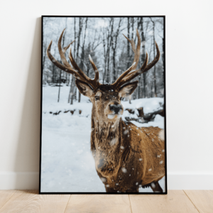 Plakat Winter