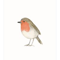 postcard | Robin watercolor