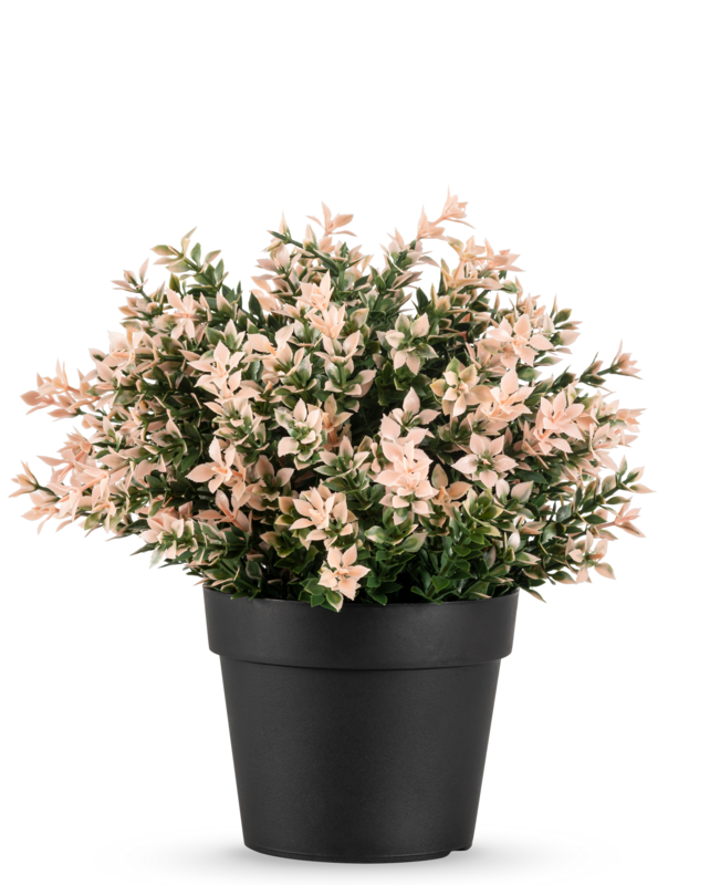 Kunstpflanze Buxus rosa UV 22 cm
