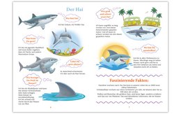 "WiBuKi" knowledge book for children: The underwater world - lots of things about animals that live in the depths of the oceans - for children from 3 years