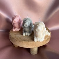 Kimba the lion - candle