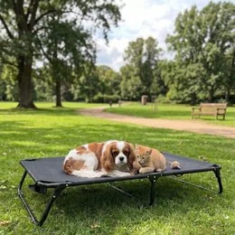 Elevated black dog bed, breathable mesh hammock-style cot, portable pet furniture, indoor outdoor use