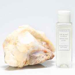 White tea and fig scented reed diffuser refill with natural ingredients.