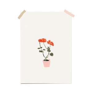 print | Geranium