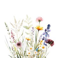 Nachhaltige Karte – Auf geht’s nach draußen!