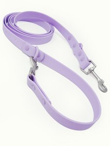 Hundeleine Outdoor wasserfest