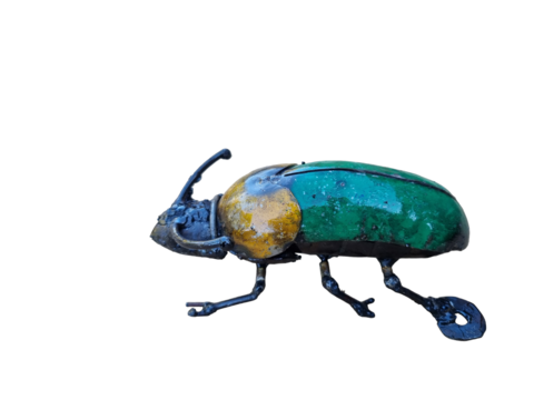 Metallmistkäfer bunt