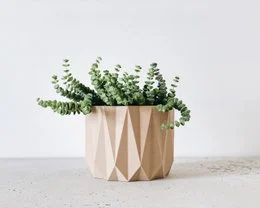 Geometric wooden planter in natural and black colors, suitable for indoor plants.
