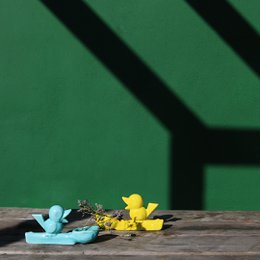 ladrón de flores