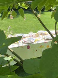 La dolce vita di una farfalla - Piatti Fondi