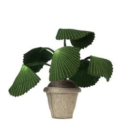 A decorative plant with green, pleated leaves in a natural-looking pot.