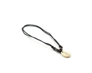 Surfketting cowry