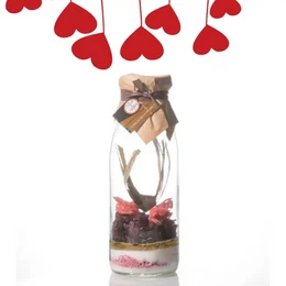 "Red Fruits, Hibiscus" Preparation for Arranged Rum 1L - A decorative glass bottle filled with a layered dessert or drink, featuring red heart-shaped decorations and a bow.

The image shows a glass bottle or container filled with a layered dessert or drink. The top layer appears to be a red fruit or berry, possibly hibiscus. The container is decorated with red heart-shaped decorations hanging from the top. A bow is tied around the neck of the container, adding a decorative touch.

This product seems to be a DIY or crafted item, potentially a layered dessert or drink preparation. The description could include details about the red fruits or berries used, the layered presentation, and the decorative elements like the hearts and bow.