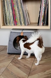 Light grey melange dog kennel, suitable for medium to extra-large dogs, with a cozy and comfortable design.
