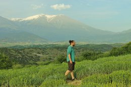 Tè greco di montagna biologico