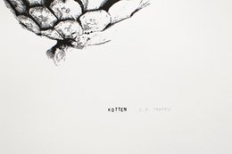 Kotten - sitodruk