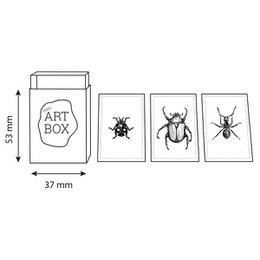 DIY Mini Art - Insekten (4 Stück)