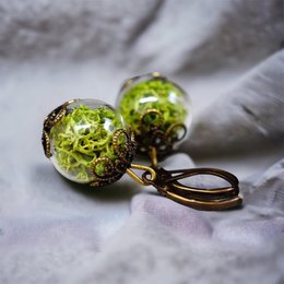 Pendientes de musgo real - Pendientes de plantas de musgo verde de Islandia - VINOHR-17