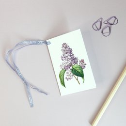 Geschenkanhänger Mix x8 Pack - Botanical Vintage