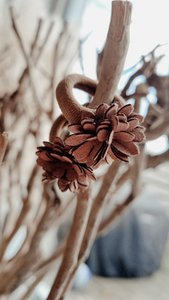 Gummibänder Blumen braun (Set)