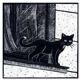 Pocztówka | kot w oknie