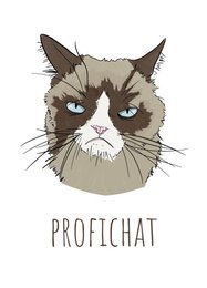 ProfiCHAT!