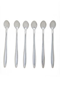 Set 6 Big Spoon Basic Copy