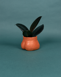 POT HIDE - MINI NALGAS