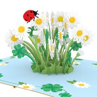 Daisy with ladybug pop-up card
