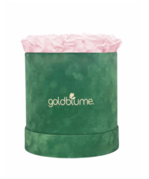 Colección Terciopelo Verde